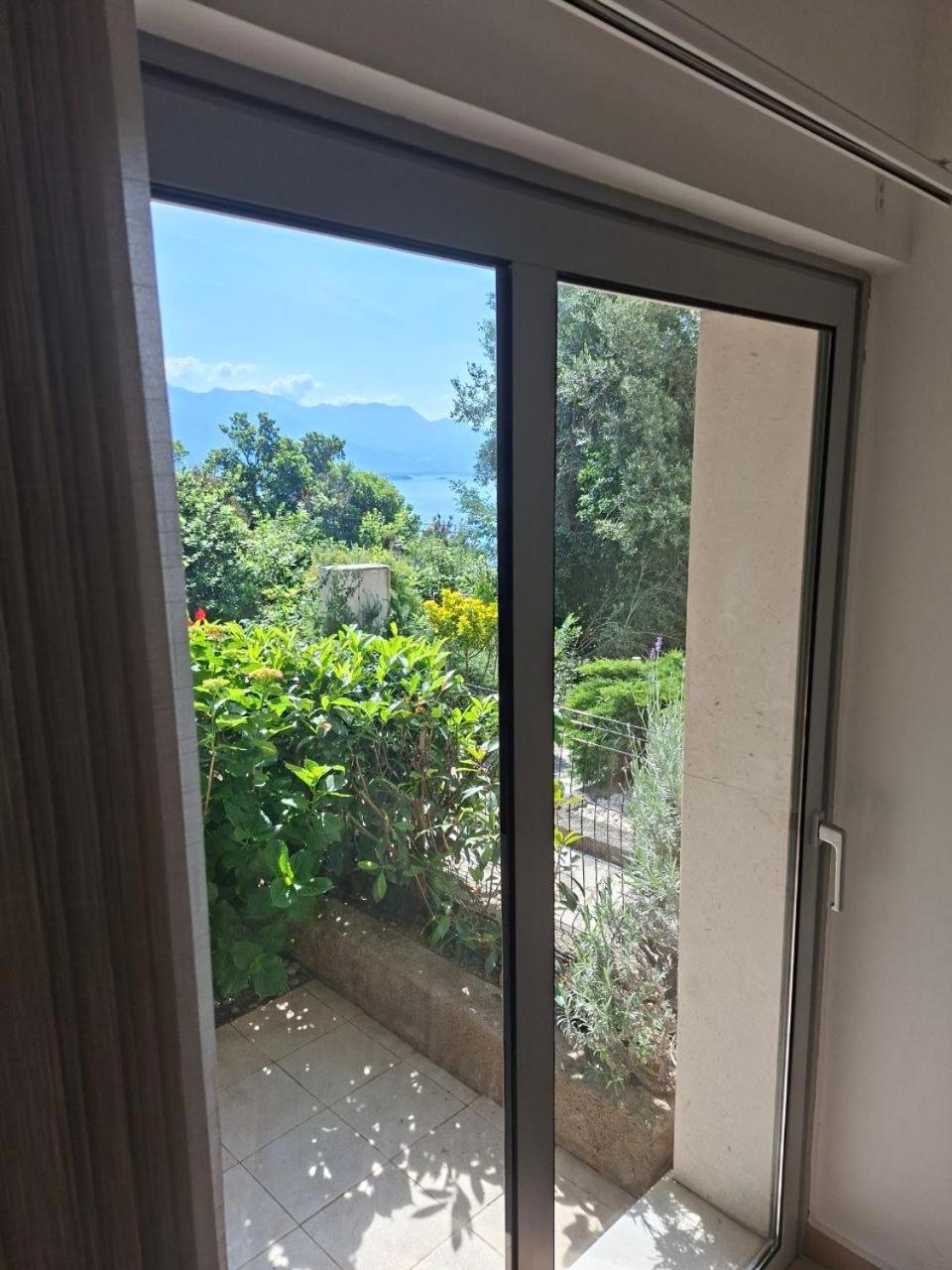 Acacia Hill Olive Tree Herceg Novi
