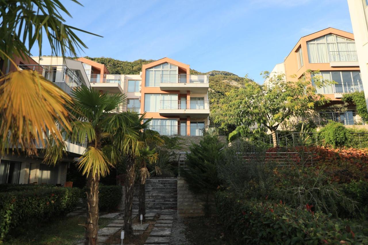 Acacia Hill Olive Tree Herceg Novi